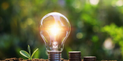 light bulb with coins young plant saving concept 1300x650 1 terra-energys.de